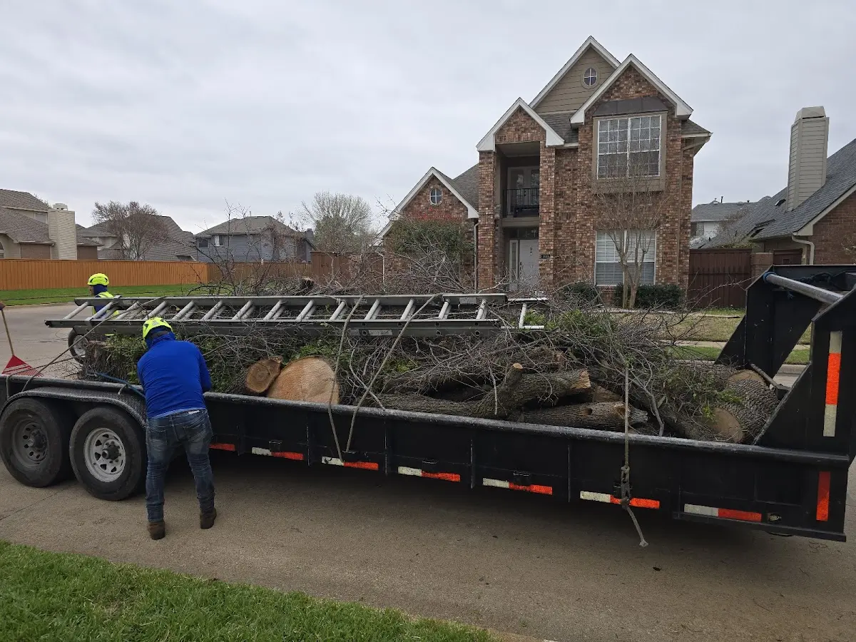Expert Tree Fertilization with proper safety equipment in Bishop
